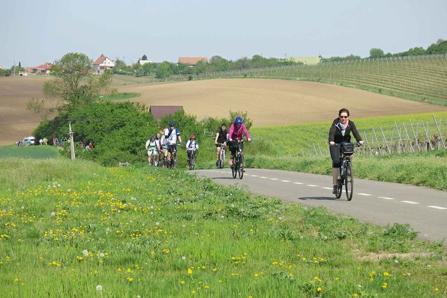 Cyklovýlet "Otvírání jara na Podluží a Hodonínsku" 27.4.2018