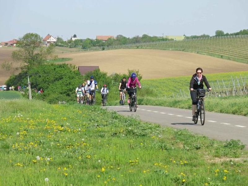 Cyklovýlet "Otvírání jara na Podluží a Hodonínsku" 27.4.2018
