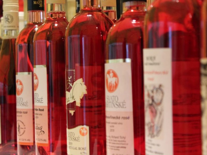 SVATOMARTINSKÉ SLAVNOSTI