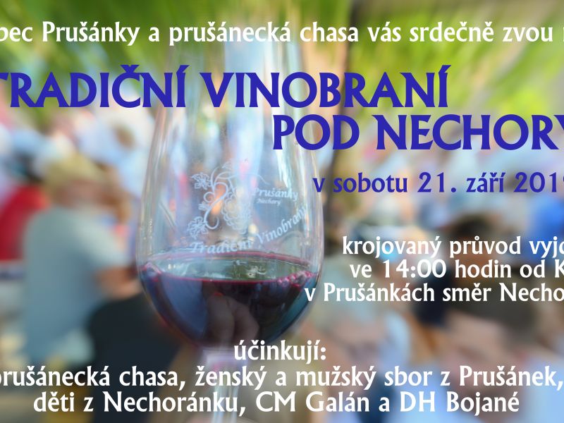 Tradiční vinobraní pod Nechory