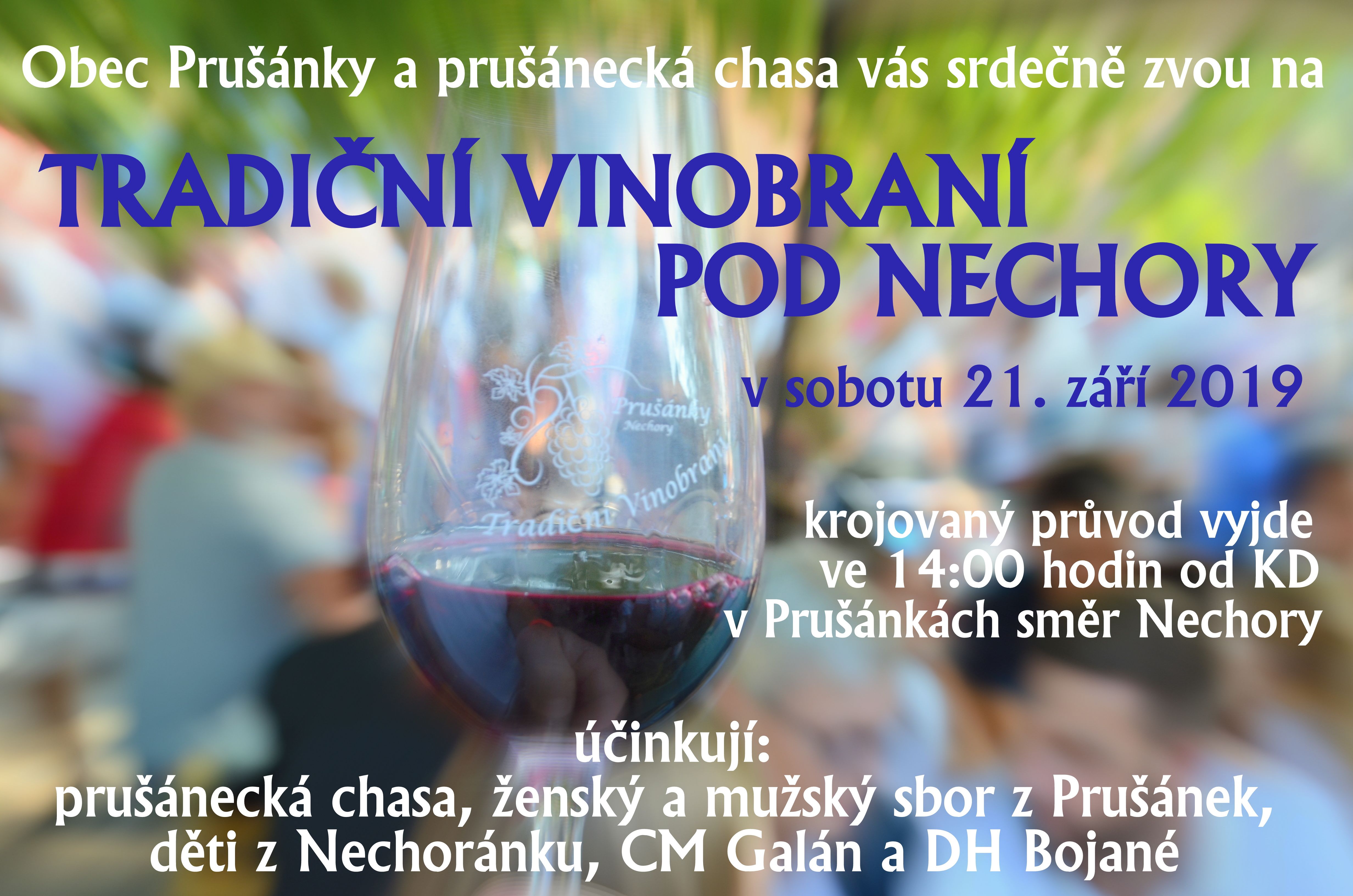 Tradiční vinobraní pod Nechory