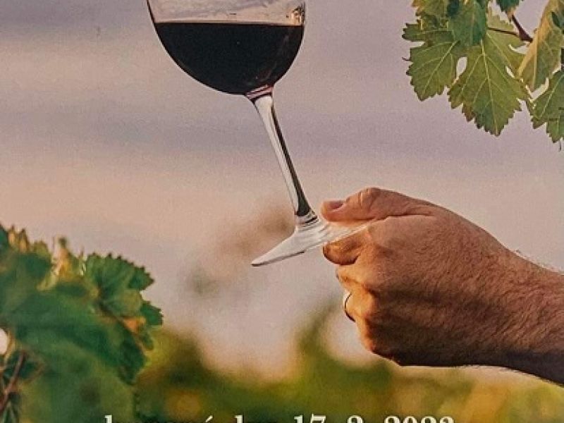 Degustace vín ve Tvrdonicích