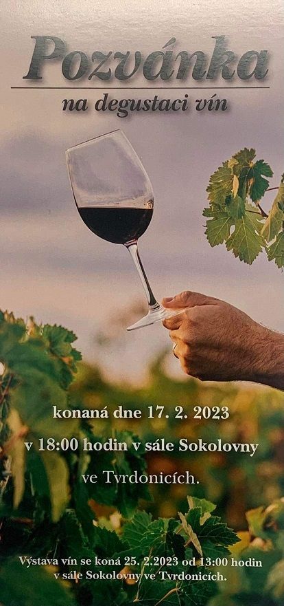 Degustace vín ve Tvrdonicích