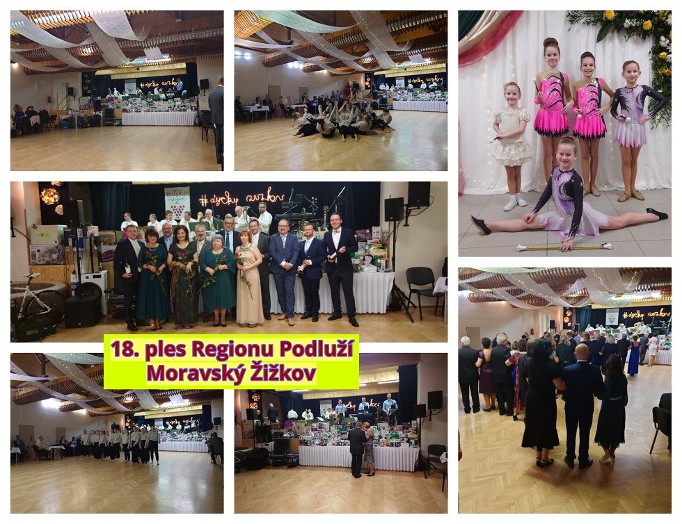 Ples Regionu Podluží v Moravském Žižkově