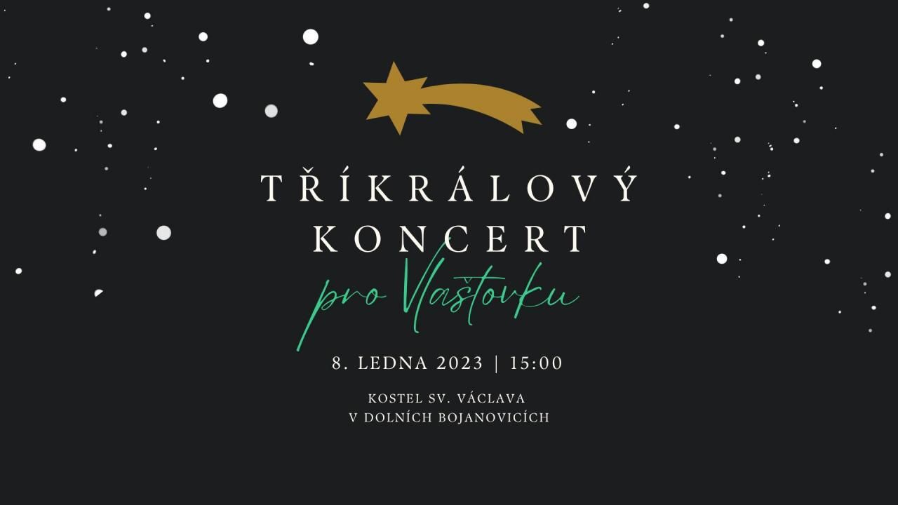Tříkrálový koncert pro Vlaštovku