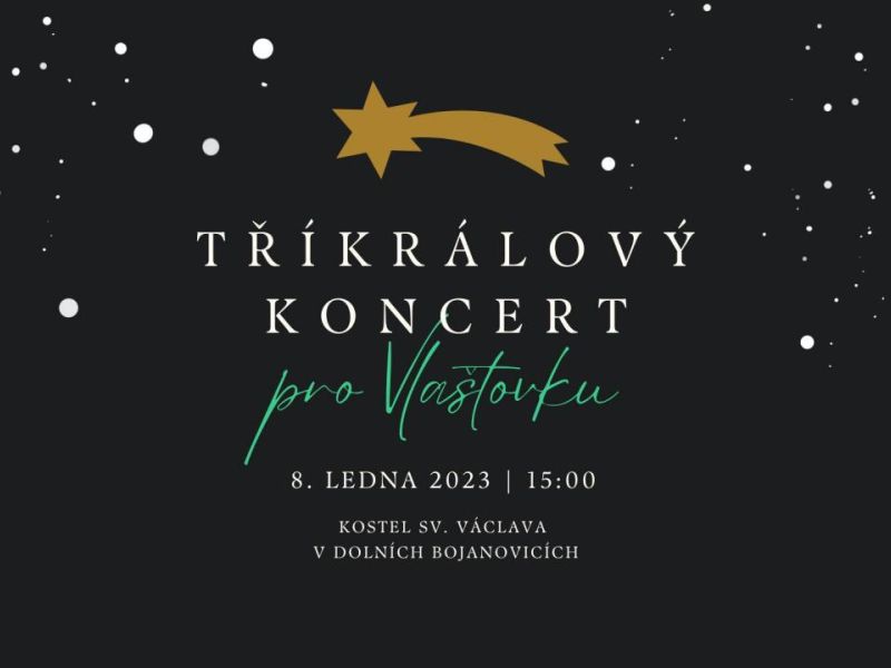 Tříkrálový koncert pro Vlaštovku