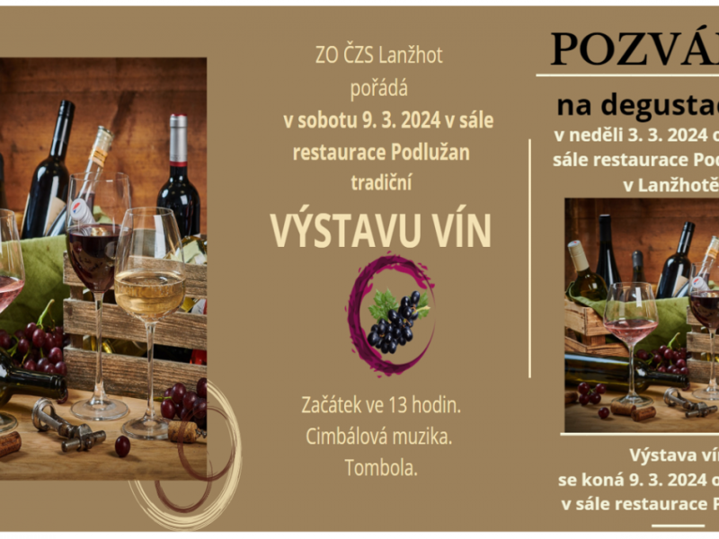 Výstava vín v Lanžhotě