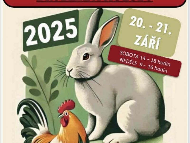 Výstava králíků, drůbeže a holubů v Lužicích