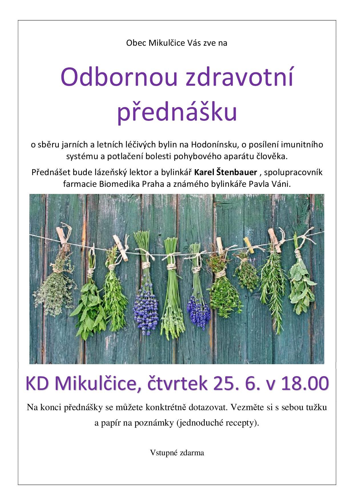 Odborná zdravotní přednáška v Mikulčicích