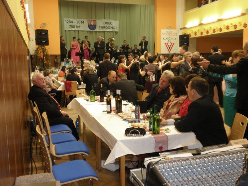 11. Ples regionu Podluží 31.1.2014 ve Tvrdonicích