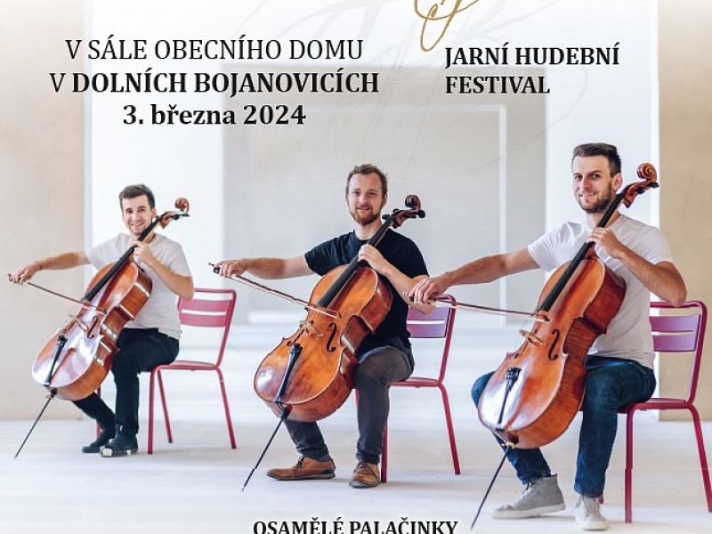 Jarní hudební festival v Dolních Bojanovicích
