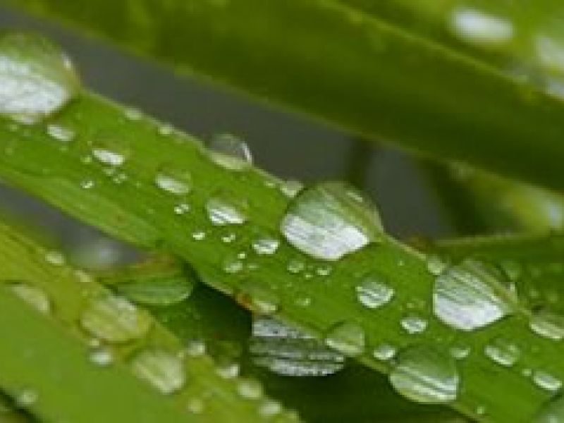 Pomozte zlepšit kvalitu života v obcích na Podluží a Hodonínsku !