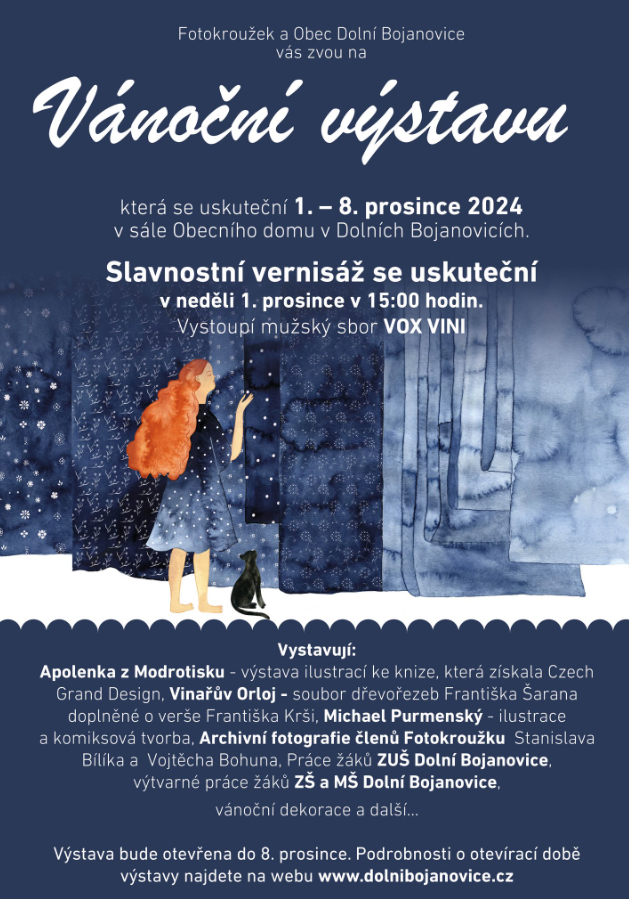 Vánoční výstava v Dolních Bojanovicích