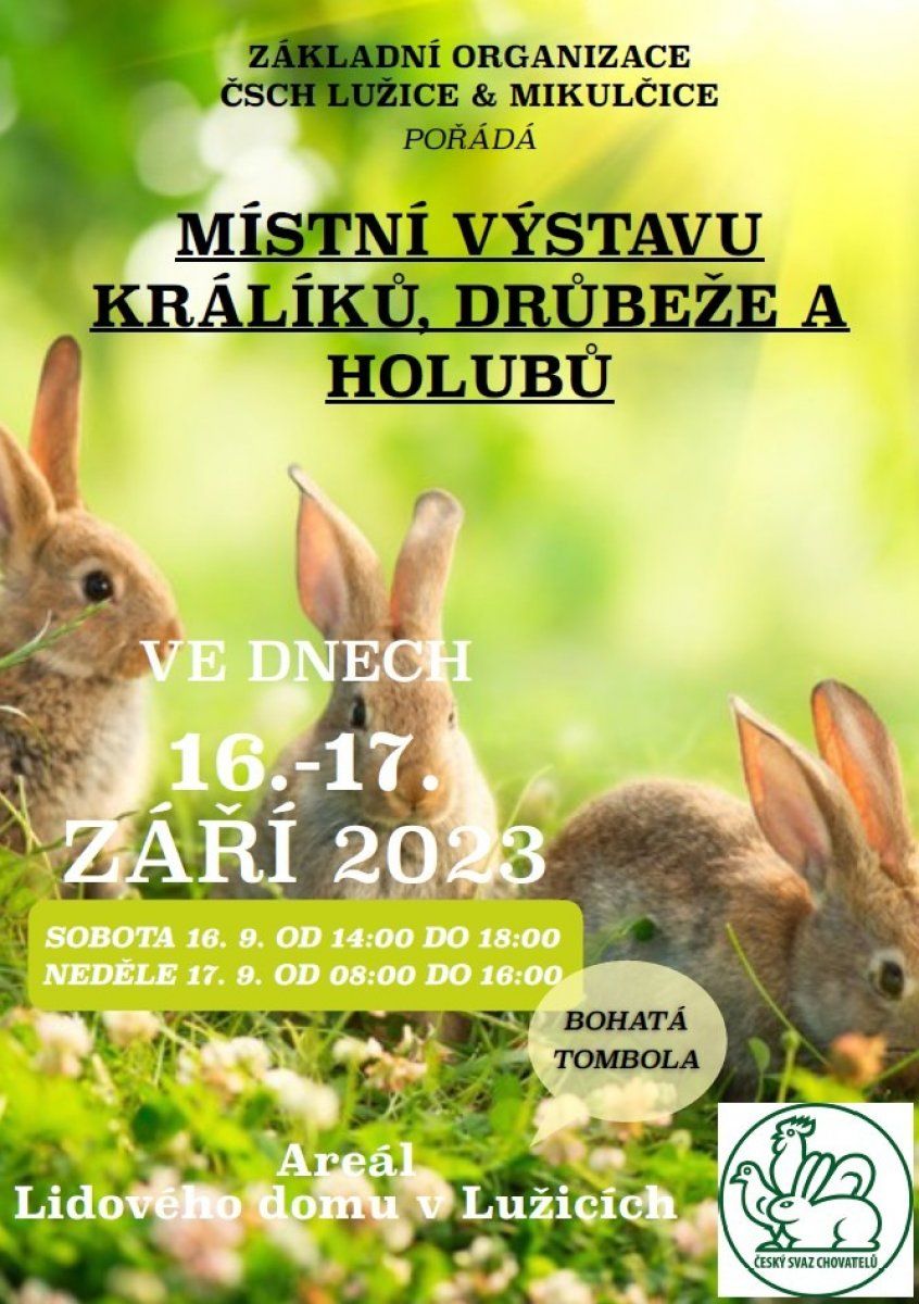 Místní výstava králíků, drůbeže a holubů