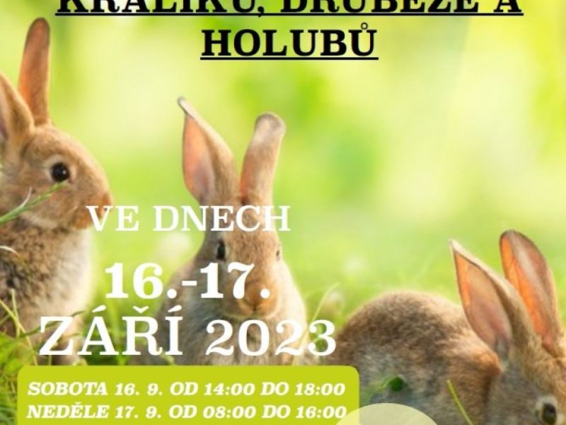 Místní výstava králíků, drůbeže a holubů