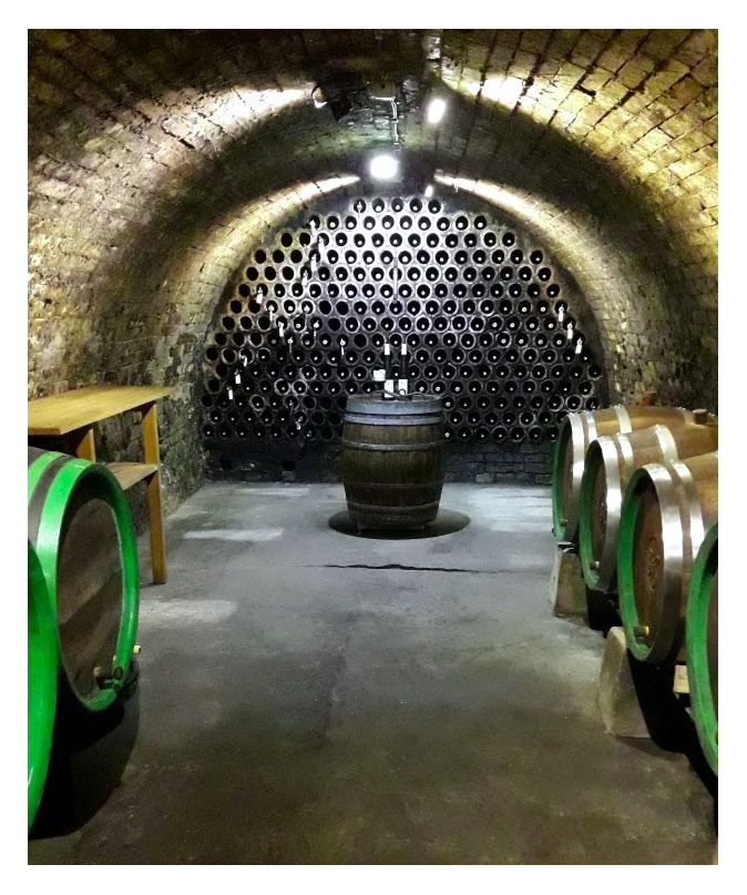 Ubytování Vinařství Sasín